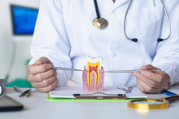 Best Same-Day Emergency Dental Services in Paw Paw Lake, MI